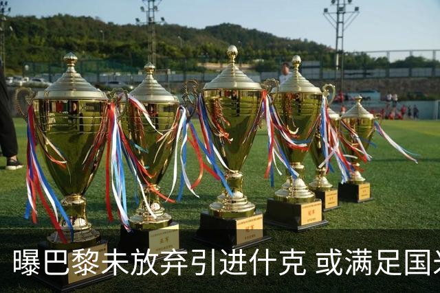 曝巴黎未放弃引进什克 或满足国米7000万欧要求
